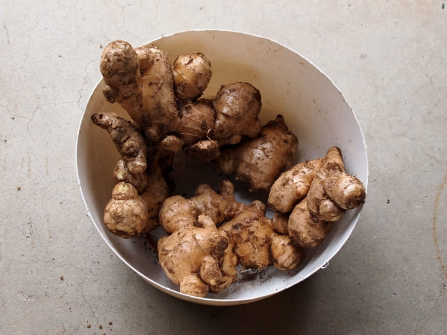 生姜を植えてはいけないとされる具体的な理由