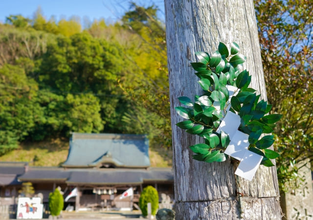 榊を庭に植える前に知っておきたい風水・方角・縁起の話