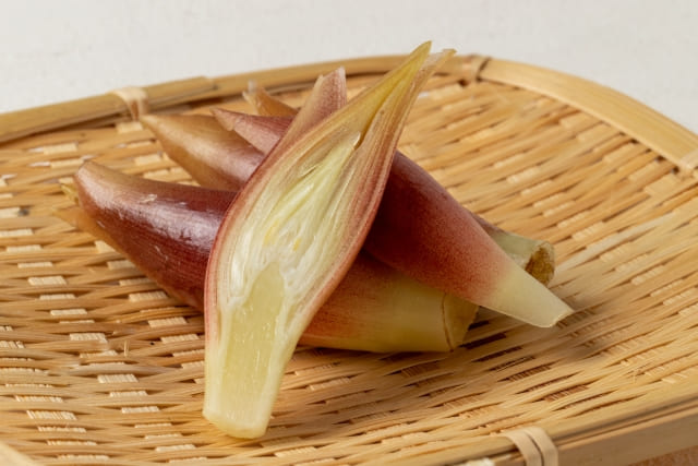 ミョウガを植えてはいけないと言われても上手に楽しむ方法