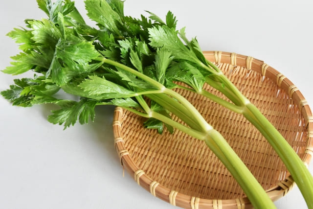 セロリを植えっぱなしで長く育てるコツと総まとめ
