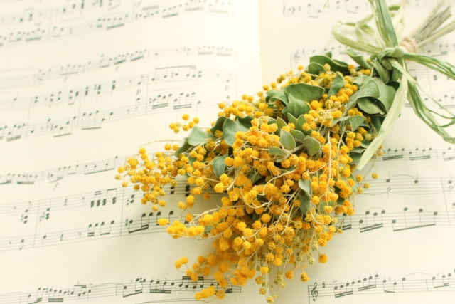 ドライフラワーなどミモザを楽しむ活用アイデア