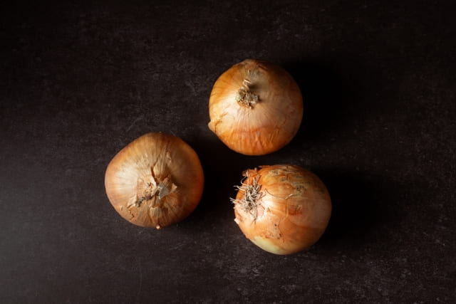 植えっぱなしの球根のおすすめと育て方|秋植え・春植え・日陰向けも紹介