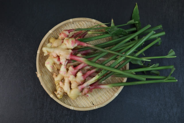 生姜の植えっぱなしを避けて長く楽しむための収穫・保存方法まとめ