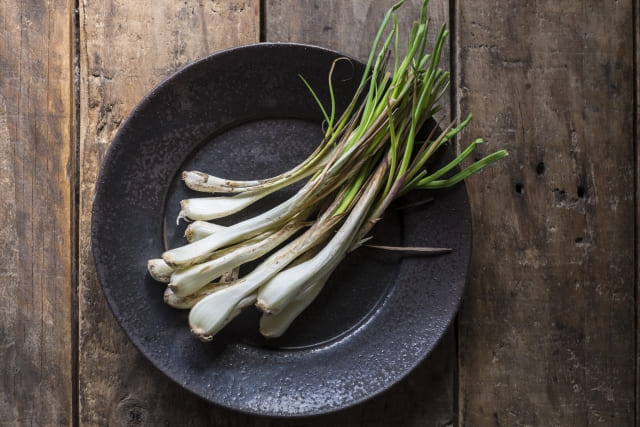 らっきょうを植えっぱなしで毎年楽しむための管理術