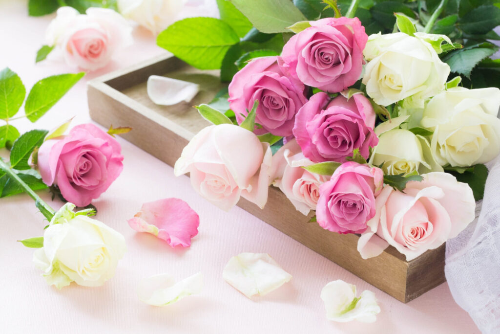 花言葉で「ありがとう」を伝えられる感謝の花