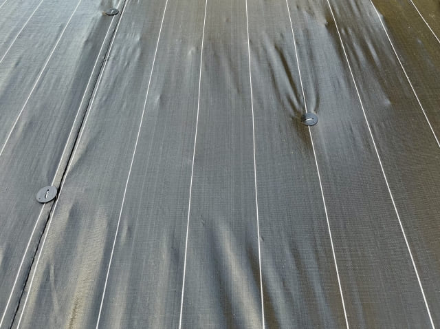 防草シートと除草剤の特徴と選び方